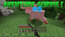 Aventure et survie
