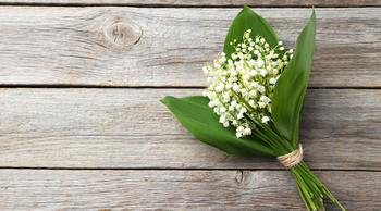 Muguet porte bonheur