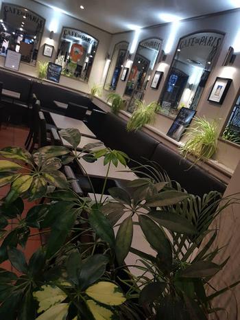 Café de Paris - Brasserie à Lille