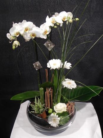 Composition florale