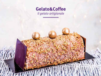 Bûche glacée de Noël