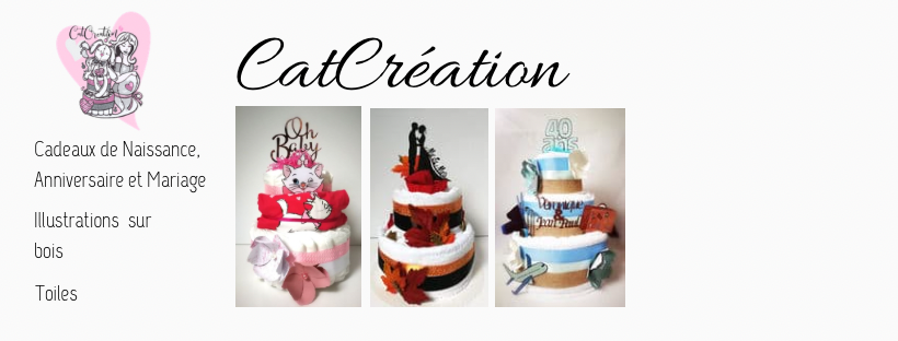 Gateaux De Couches A Lille Et Tourcoing Catcreation