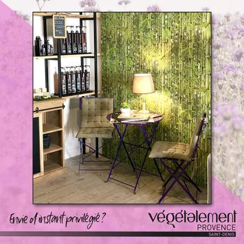 Végétalement Provence - Coiffeur à Saint-Denis