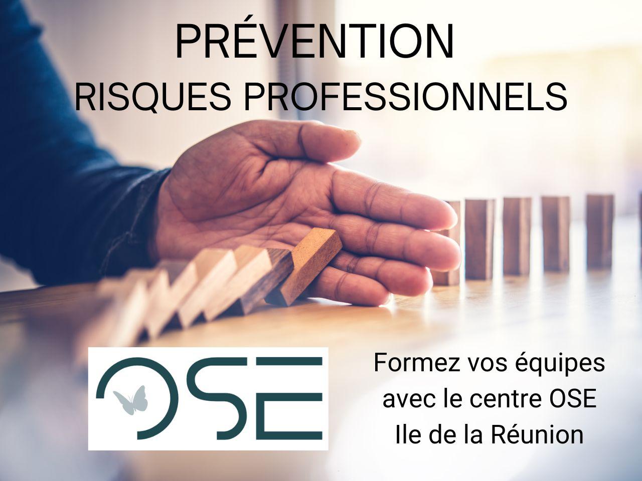 Prévention Réunion : Catalogue de formation OSE