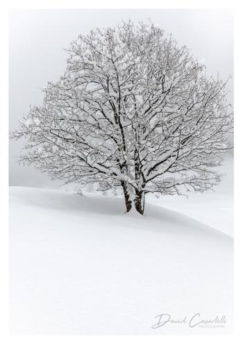 L'ART DES CHOIX - Cadeaux / souvenirs à Samoëns