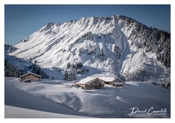 L'ART DES CHOIX - Cadeaux / souvenirs à Samoëns