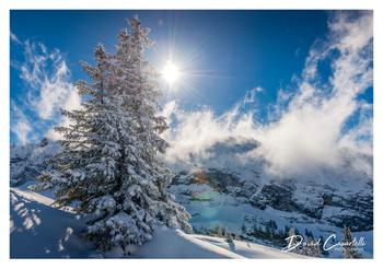 L'ART DES CHOIX - Cadeaux / souvenirs à Samoëns