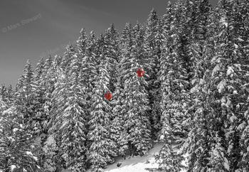 L'ART DES CHOIX - Cadeaux / souvenirs à Samoëns