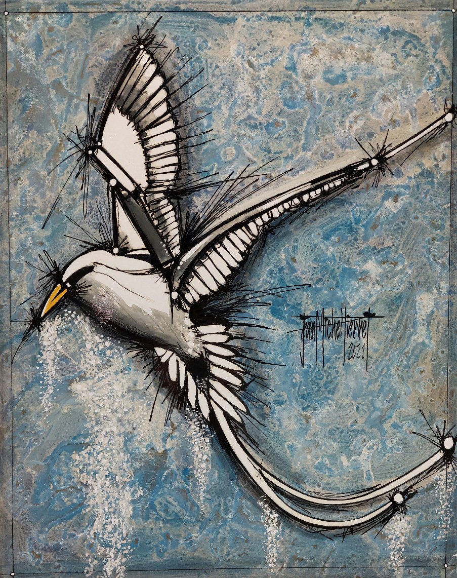 Le Paille en queue à La Saline Les Bains JeanMichel PIERRET 974 La